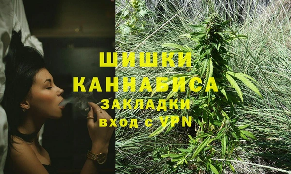 шишки Волосово