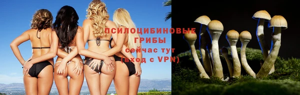 ешки Володарск