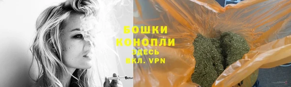 мдпв Струнино