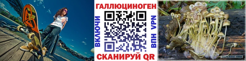 omg зеркало  Донецк  Псилоцибиновые грибы мухоморы 